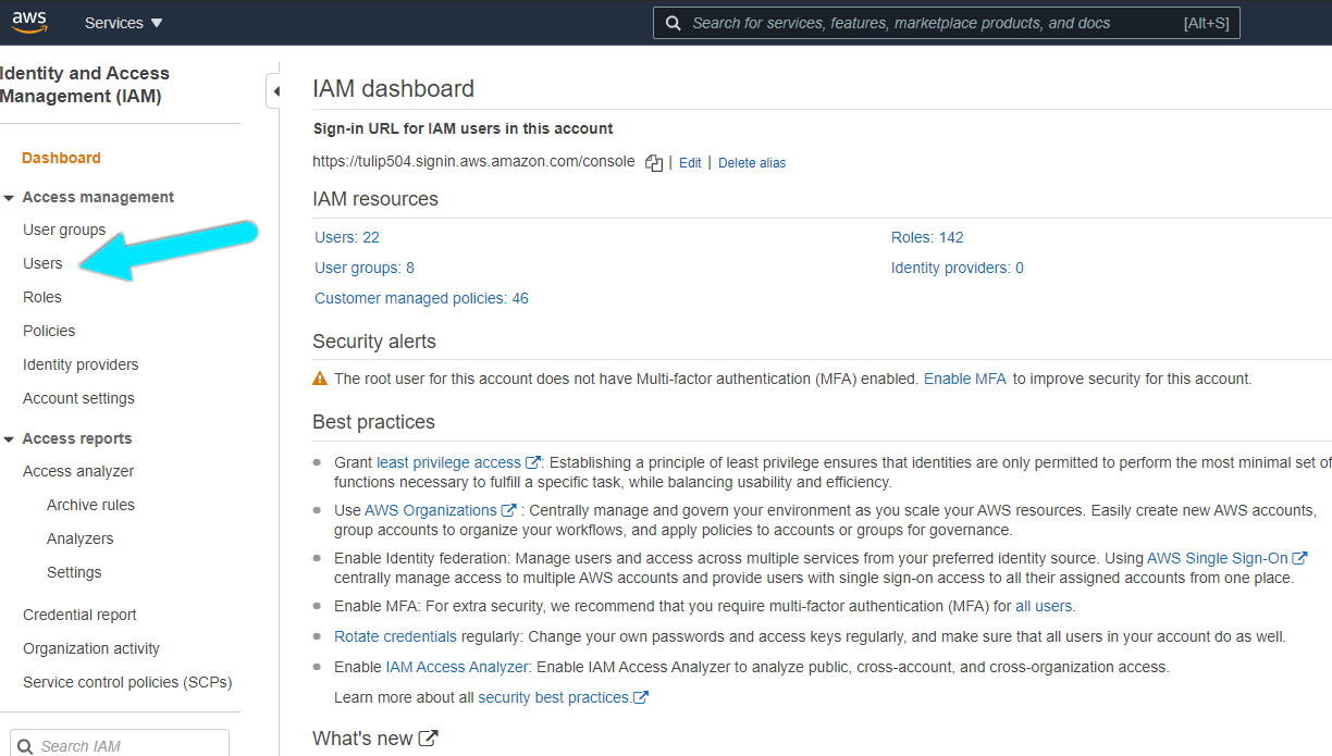 IAM Users menu on the left sidebar